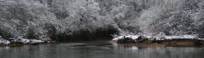 Friends of Big Canoe Creek